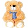 Smart Teddy
