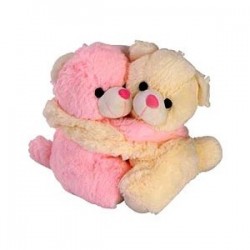 Teddy Hug