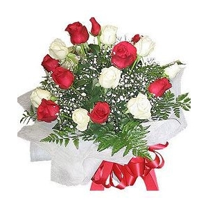 Red n White Bunch Red n White Bunch
