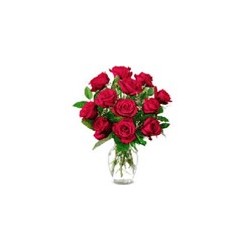 12 Red Roses in a Vase