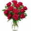 12 Red Roses in a Vase