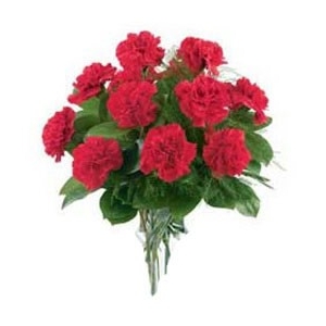 12 Red Carnations 12 Red Carnations