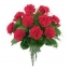 12 Red Carnations