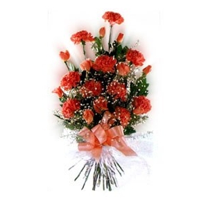 Roses & Carnations Roses & Carnations