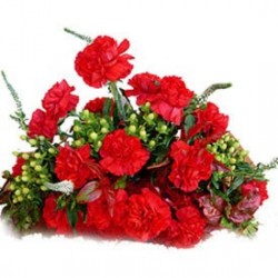 10 Red Carnations BunchY