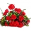 10 Red Carnations Bunch