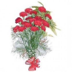 24 Red Carnations Bunch