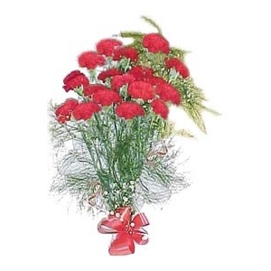 24 Red Carnations Bunch 24 Red Carnations Bunch
