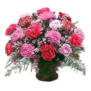Carnations Arrangement Carnations Arrangement