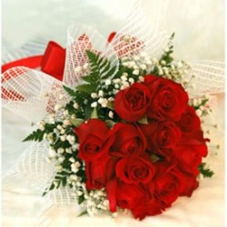 Prosperous Red Roses