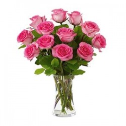 Sensuous Pink Roses