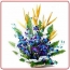 Exotic Orchids