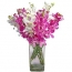 Exclusive Orchids