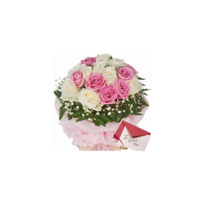 Valentine Pink Rose