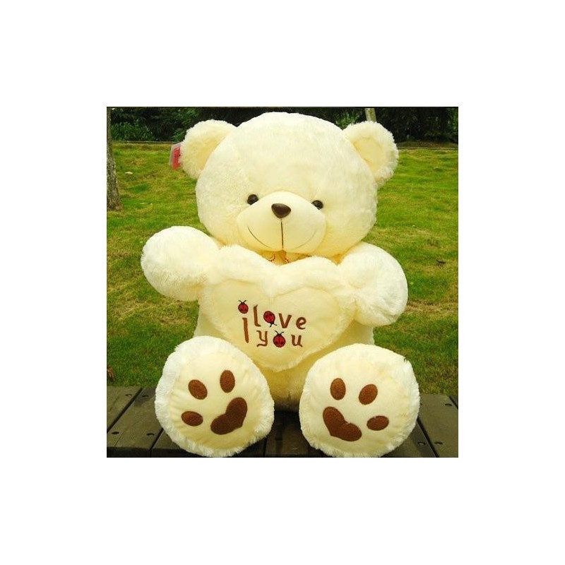 Cute Teddy