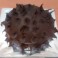 Chocolate Excess - 500 gm