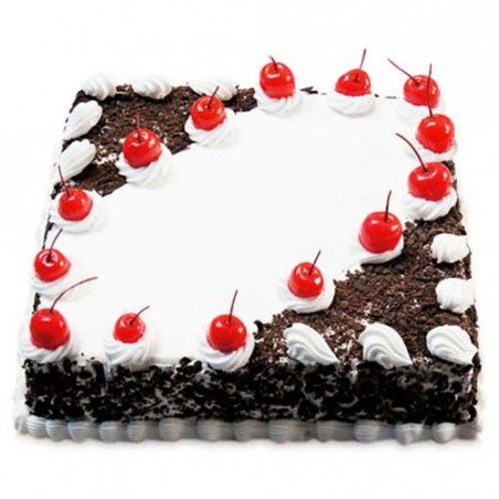 Black Forest square Cake