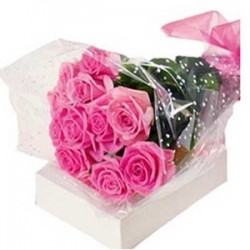 12 Pink Roses Bunch